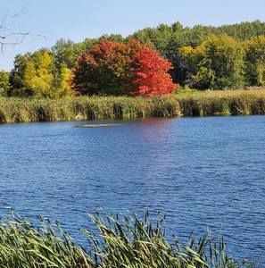 Meet your Posher, Pamela